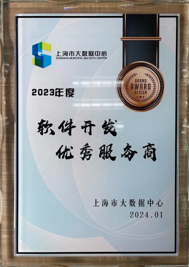 定制软件公司的选购指南