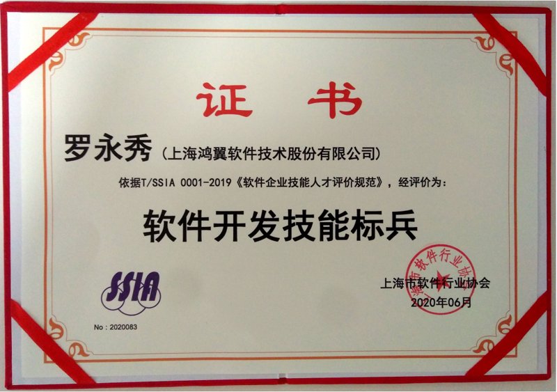 定制软件公司：构建企业专属IT生态系统